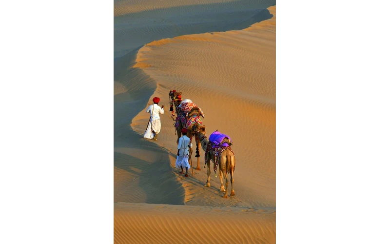 Rajasthan Grand Tour