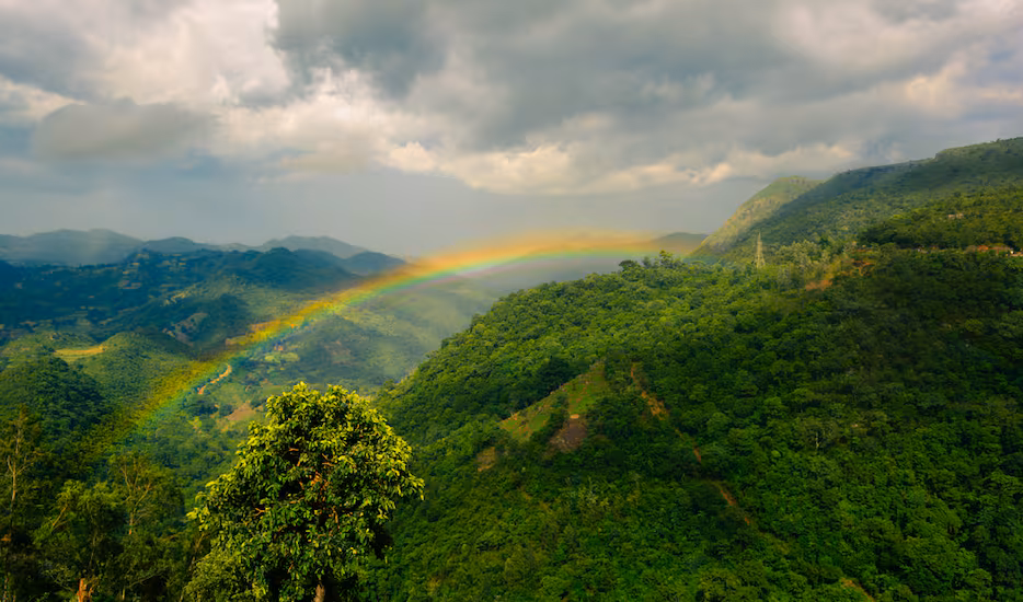 Visakhapatnam & Araku Valley Escape