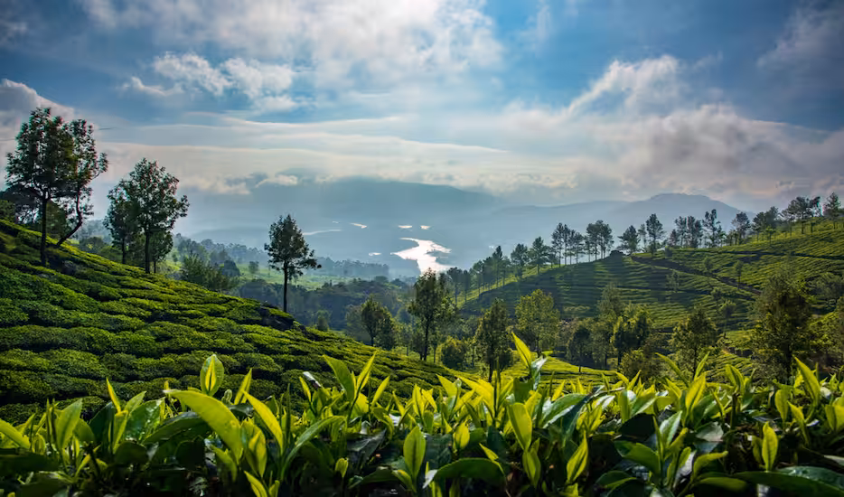 Romantic Kerala Honeymoon