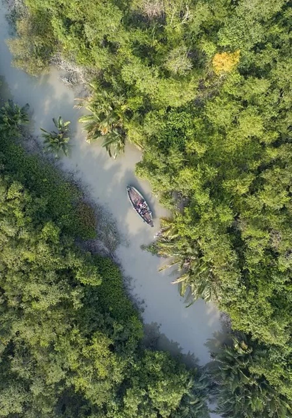 Sundarbans Nature & Wildlife Tour