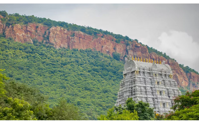 Tirupati Tirumala Temple Tour – image 2