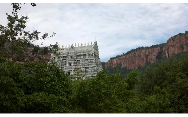 Tirupati Tirumala Temple Tour – image 3