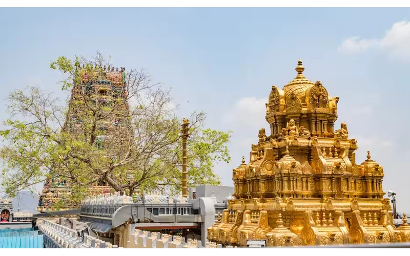 Vijayawada Amaravati Heritage & Spiritual Tour – image 3