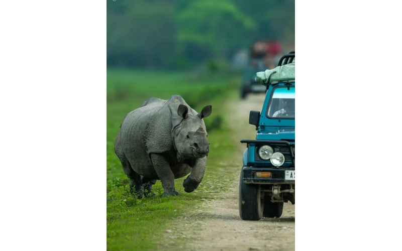 Kaziranga Shillong & Meghalaya Tour – image 2