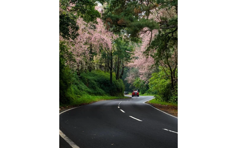 Kaziranga Shillong & Meghalaya Tour – image 6