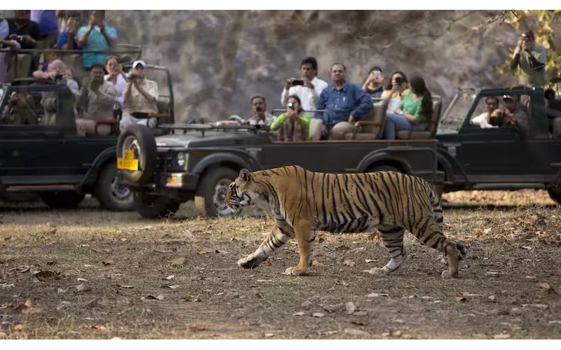 Delhi Agra Jaipur Golden Triangle Tour – image 4