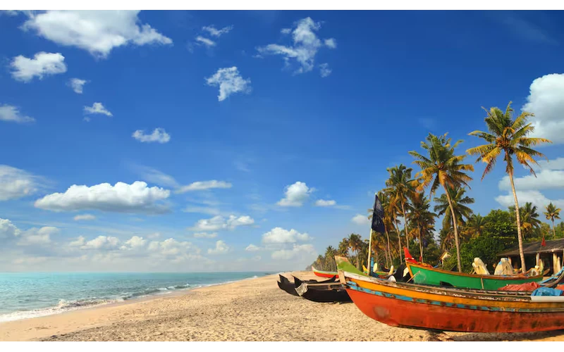 Classic Goa Holiday – image 2