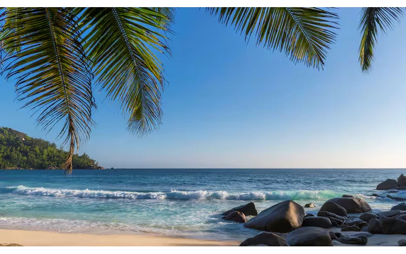 Classic Goa Holiday – image 4