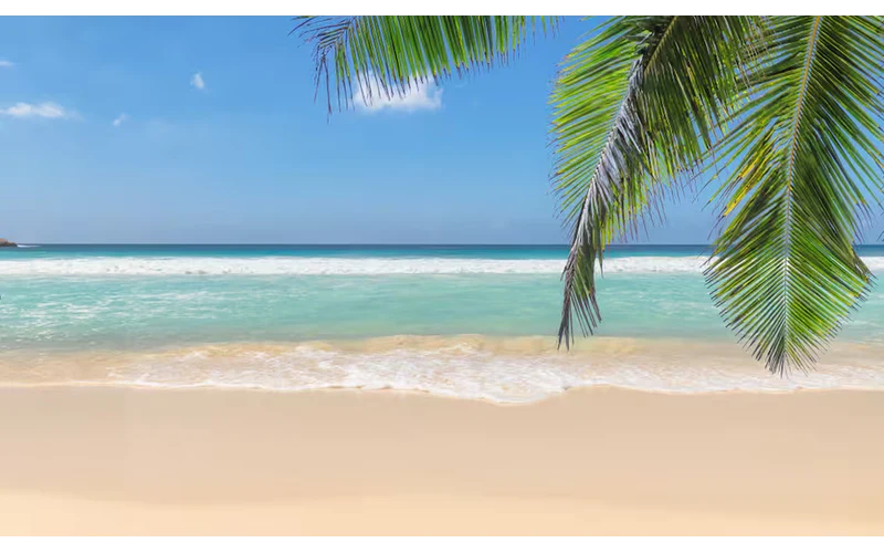 Romantic Goa Honeymoon – image 2