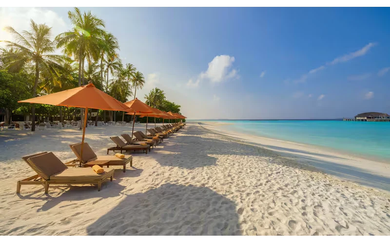 Romantic Goa Honeymoon – image 3
