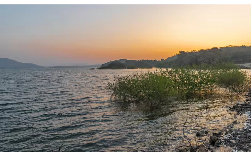 Gir National Park Wildlife & Sasan Gir Tour – image 2