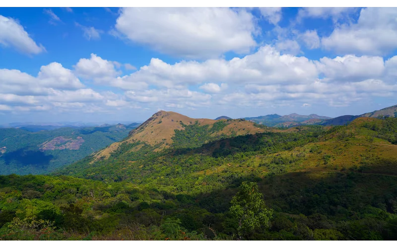 Bengaluru Mysuru & Coorg Tour – image 3