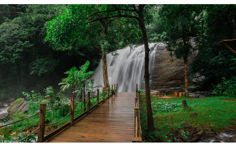 Bengaluru Mysuru & Coorg Tour – image 4