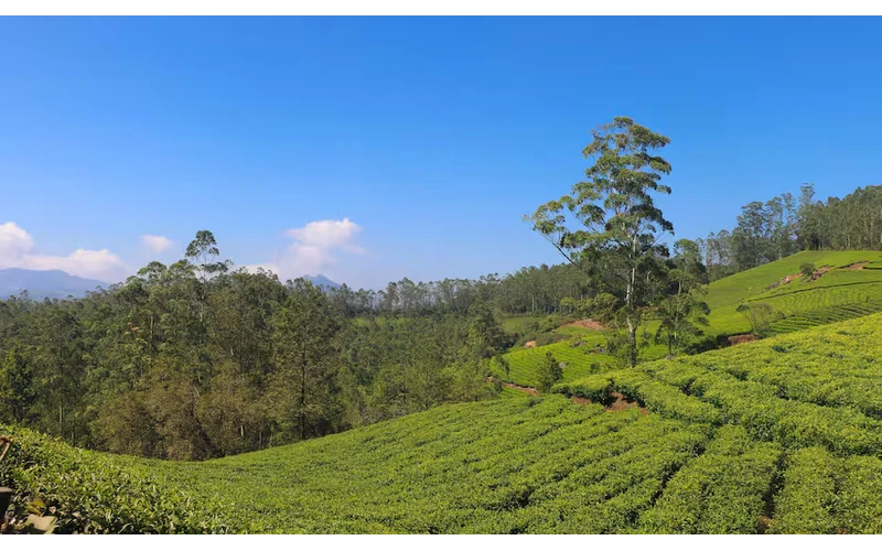 Corporate Kerala – Kochi Munnar Retreat – image 2