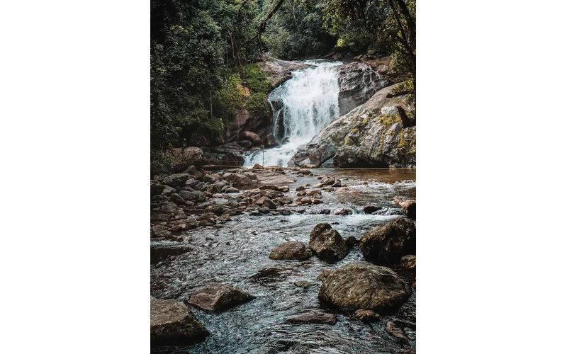 Corporate Kerala – Kochi Munnar Retreat – image 5