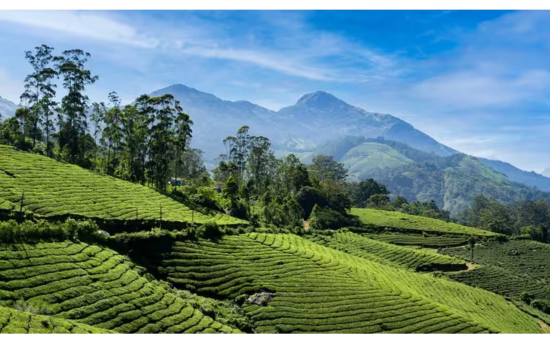 Kerala Grand Tour – image 3