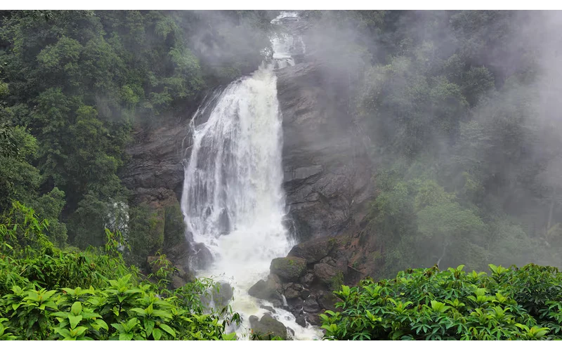 Classic Kerala – Munnar Thekkady Alleppey – image 3