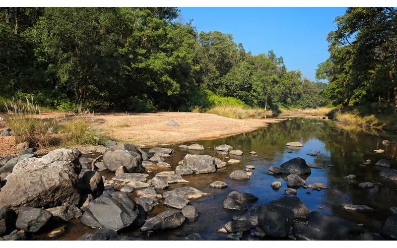 Kanha & Bandhavgarh Wildlife Tour – image 2