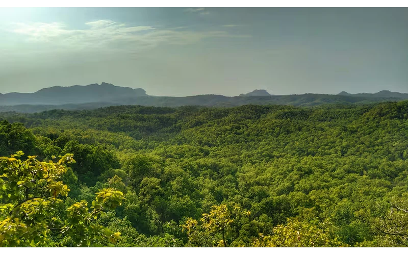 Kanha & Bandhavgarh Wildlife Tour – image 4
