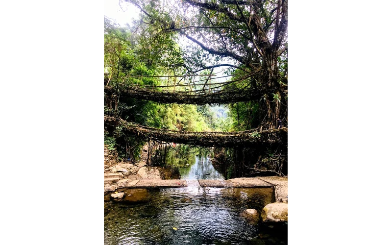 Guwahati Shillong Cherrapunji Tour – image 5