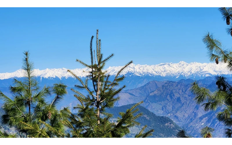 Jibhi Weekend Group Escape – image 3