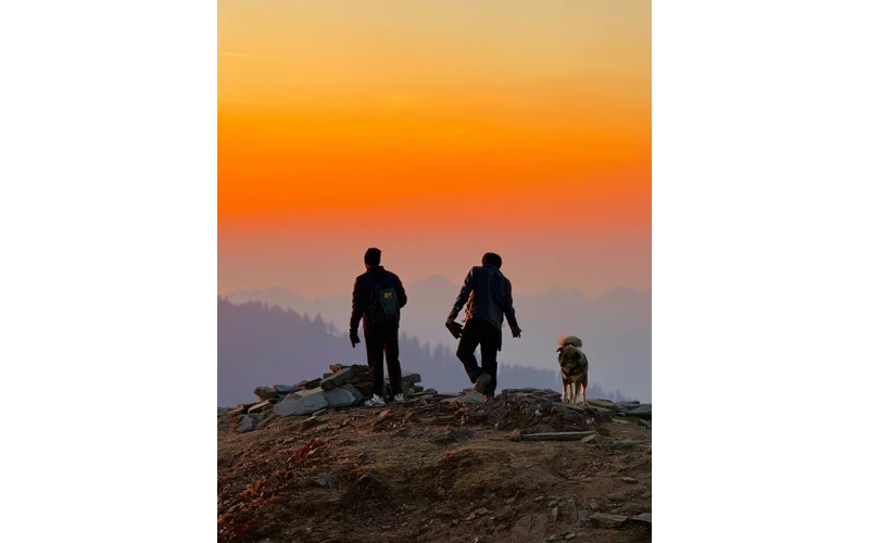 Jibhi Weekend Group Escape – image 5