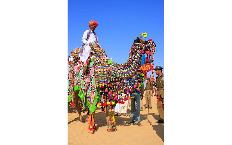Jodhpur & Jaisalmer Desert Tour – image 5