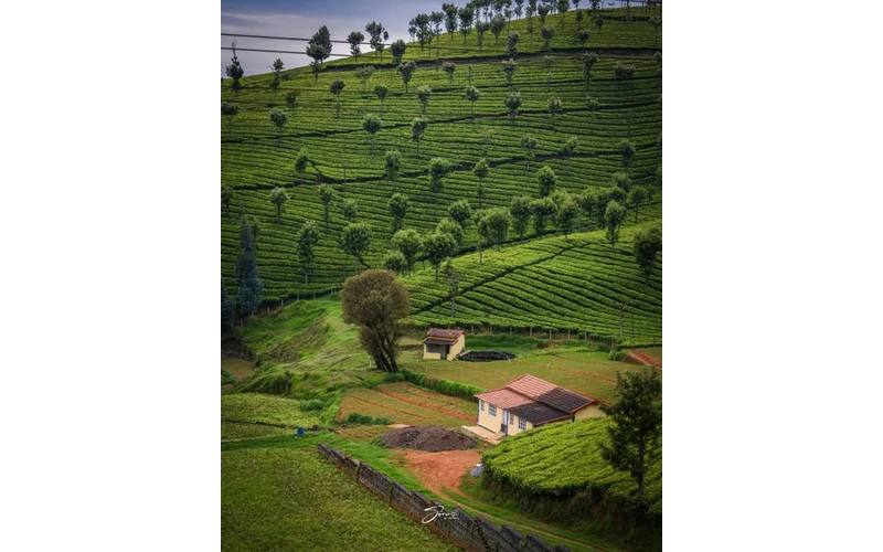 Ooty & Kodaikanal Hill Holiday – image 2