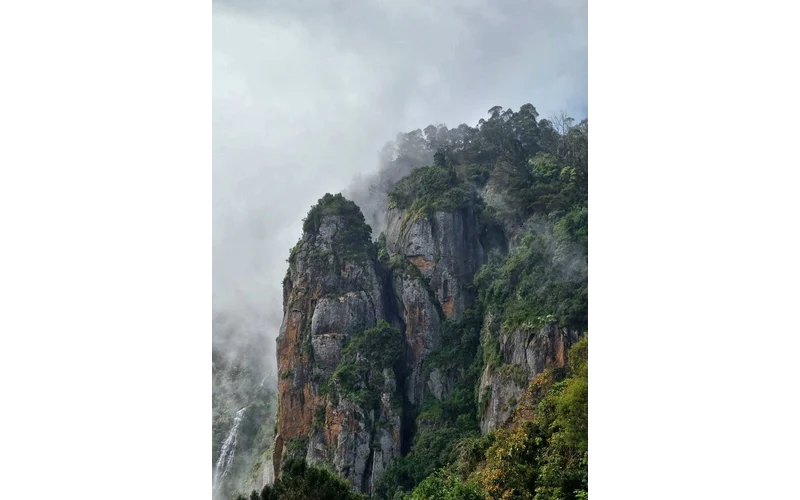 Ooty & Kodaikanal Hill Holiday – image 4