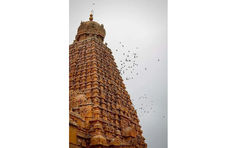 Tamil Nadu Grand Temple Tour – image 5