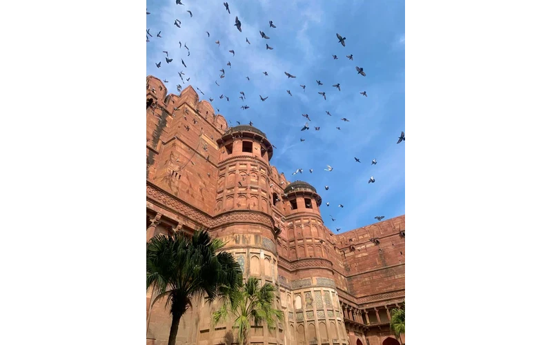 Agra Taj Mahal Heritage Weekend – image 3