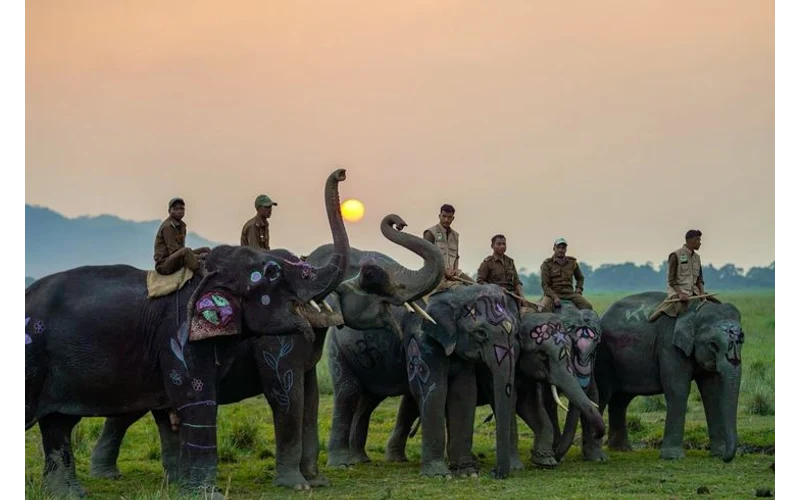 Jim Corbett Wildlife Weekend – image 3