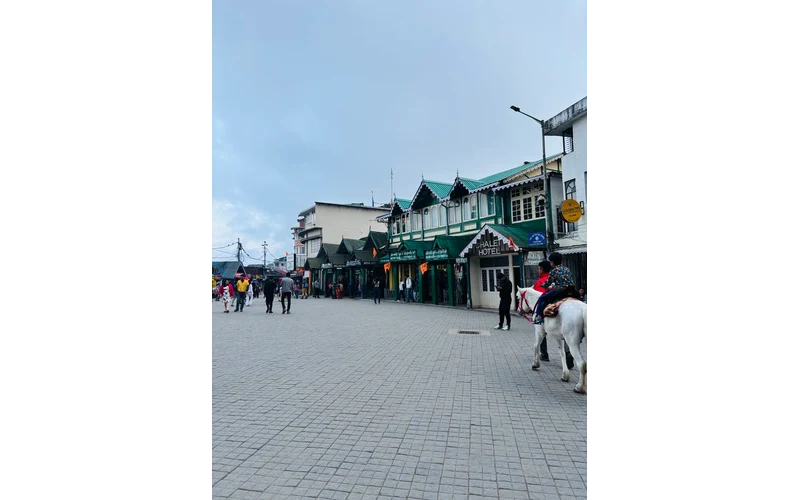 Darjeeling & Kalimpong Hill Tour – image 4