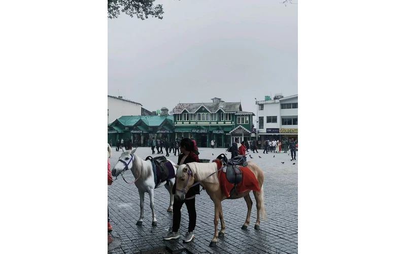 Darjeeling & Kalimpong Hill Tour – image 5